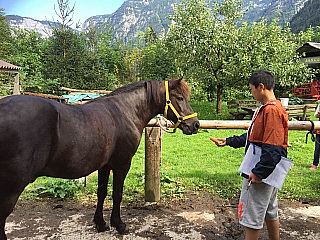 Summer Camp Austria Impression