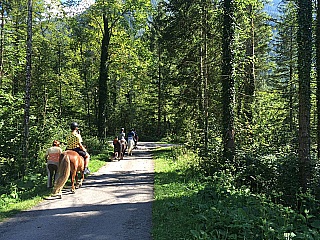 Summer Camp Austria Impression