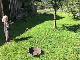 Summer Camp Austria Impression