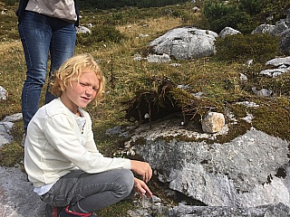 AME WORKSHOP "OM AM BERG"