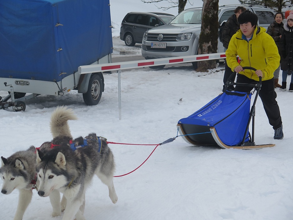 AME Winter Camp 2018
