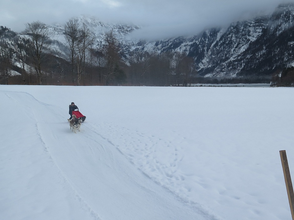AME Winter Camp 2018