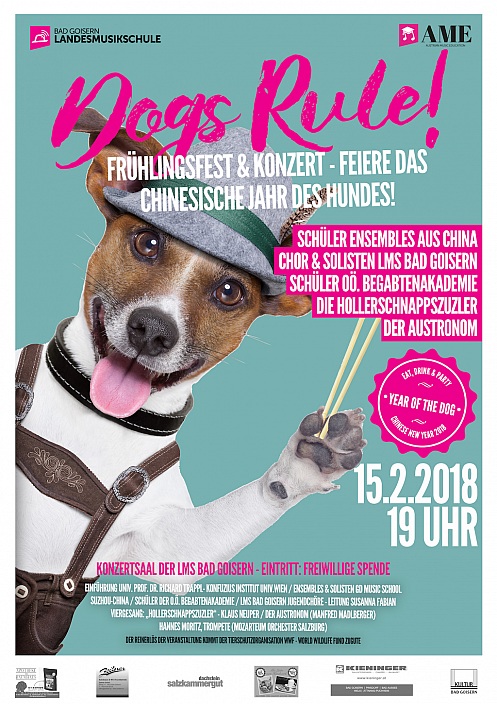Dogs Rule