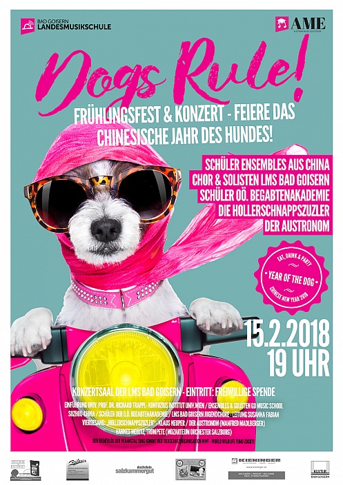 Dogs Rule