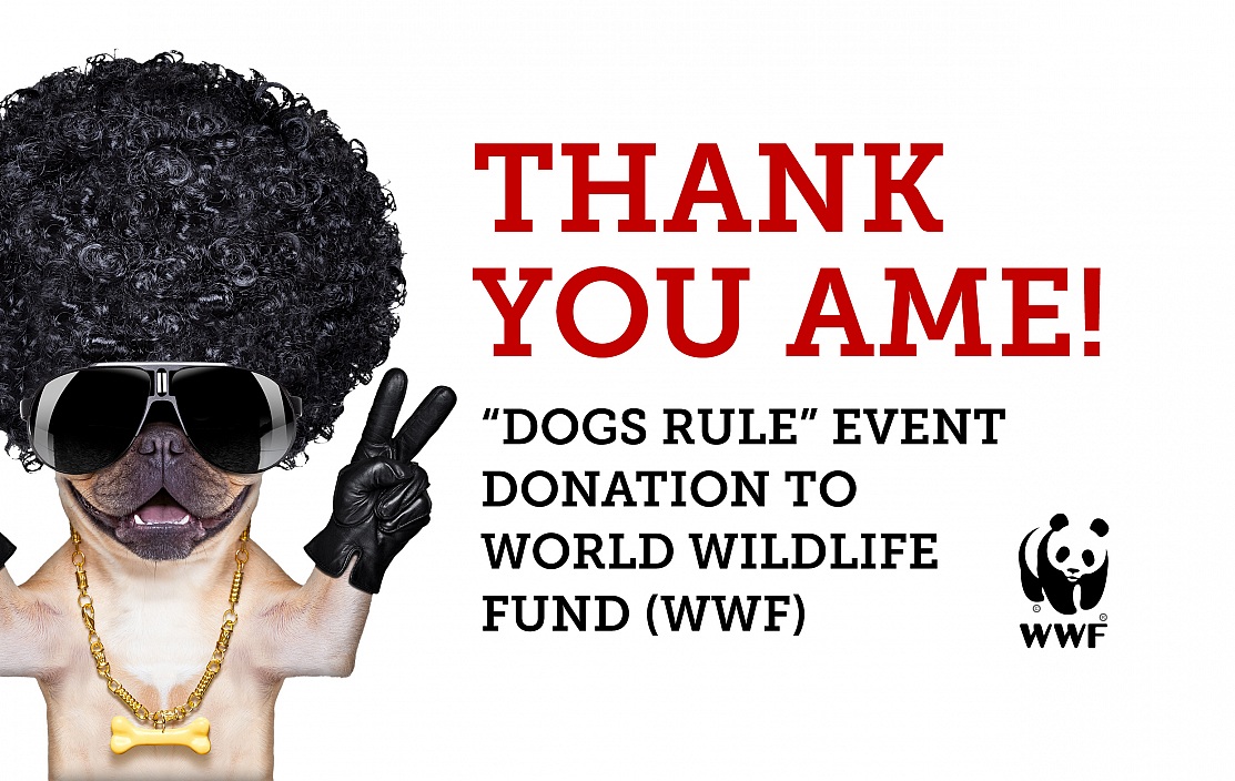 Donation